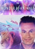 BBC. Чудеса животного мира/The Wonder of Animals