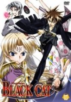 Черный кот/Black Cat