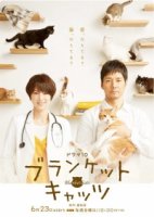 Коты в одеялках/Blanket Cats