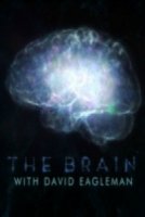 Мозг с Дэвидом Иглменом/The Brain with Dr. David Eagleman