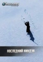 Последний ниндзя/Ultimate Ninja Challenge