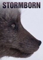 Рожденные бурей/StormBorn