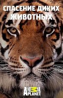 Спасение диких животных/Wild Animal Rescue