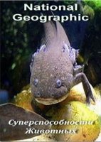 Суперспособности животных/Animal Superpowers