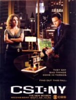 Место преступления: Нью-Йорк/CSI: NY 2 сезон