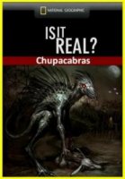 Реальность или фантастика?/Is It Real?