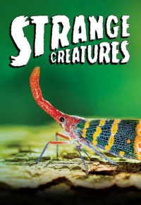 Странные существа/Strange Creatures 2 сезон