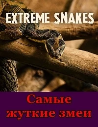 Самые жуткие змеи/Extreme Snakes