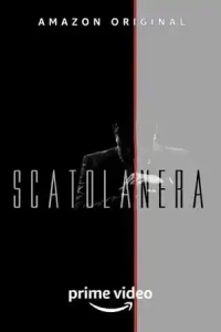 Черный ящик (Италия)/Scatola nera
