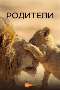 Родители (2025)/Parenthood