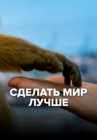 Сделать мир лучше/Collection the messenger. To make a better world