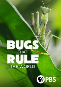 Насекомые, которые правят миром/Bugs That Rule the World