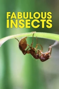 Удивительные насекомые/The Fabulous Insects