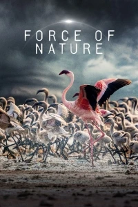 Сила природы (2026)/Force of Nature